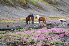 Iceland-East and South-Around the Glaciers